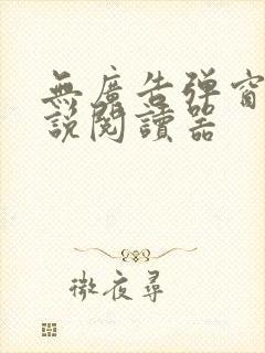 无广告弹窗的小说阅读器