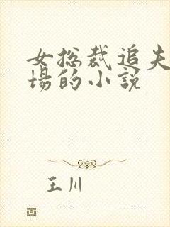 女总裁追夫火葬场的小说