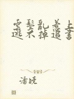 云鬓乱惹上奸臣逃不掉追书