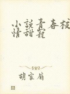 小说青春校园言情甜宠