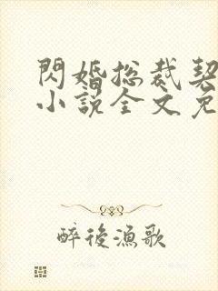 闪婚总裁契约妻小说全文免费