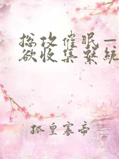 总攻催眠——情欲收集系统小说