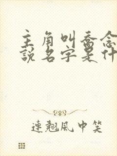 主角叫乔念的小说名字是什么