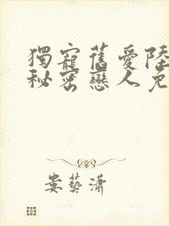 独宠旧爱陆少的秘密恋人免费全文