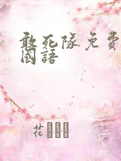 敢死队免费高清国语