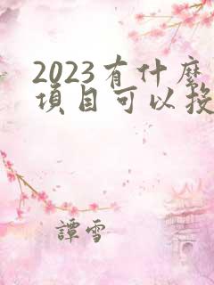 2023有什么项目可以投资