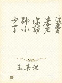 少帅你老婆又跑了小说免费听书