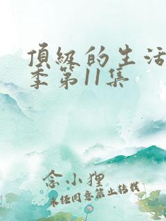 顶级的生活第一季第11集