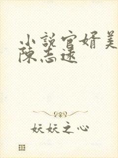 小说官婿美人图陈志远