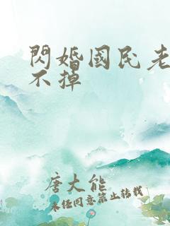 闪婚国民老公甩不掉