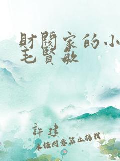财阀家的小儿子毛贤敏