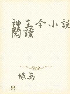 神王令小说免费阅读