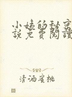 小姨的秘密的小说免费阅读