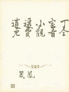 逍遥小家丁短剧免费观看全集高清