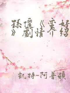 孙俪《蛮好人生》剧情介绍