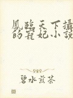 凤临天下摄政王的宠妃小说