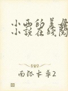 小西的美母教师小说在线阅读