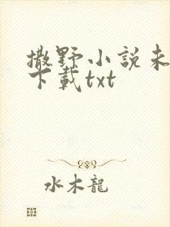 撒野小说未删版下载txt