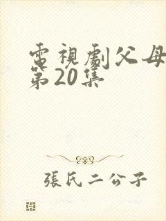 电视剧父母爱情第20集