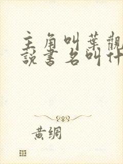 主角叫叶观的小说书名叫什么名字