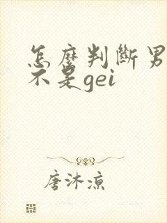 怎么判断男的是不是gei