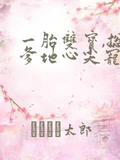 一胎双宝,总裁爹地心尖宠