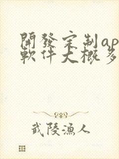 开发定制app软件大概多少钱