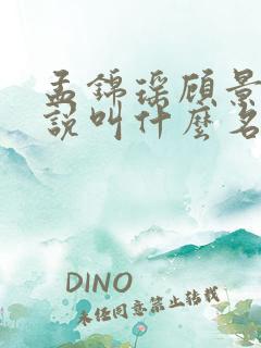 孟锦瑶顾景熙小说叫什么名字