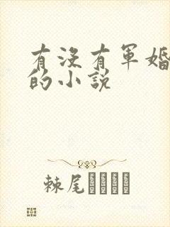 有没有军婚好看的小说