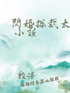 闪婚总裁太霸道 小说