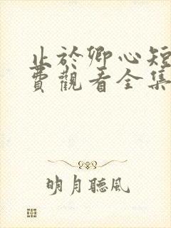 止于卿心短剧免费观看全集高清版