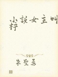 小说女主叫夏青柠