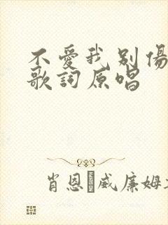 不爱我别伤害我歌词原唱