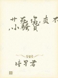 艹死你,爽不爽,小骚货