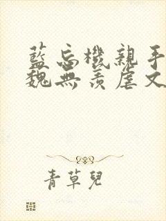 蓝忘机亲手杀死魏无羡虐文