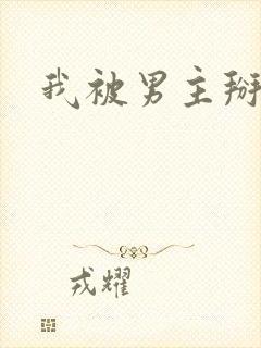 我被男主掰弯了