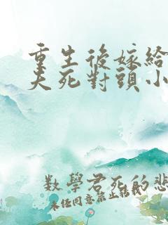 重生后嫁给了前夫死对头小说