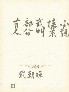 有部武侠小说主人公叫叶观的小说