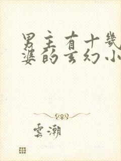 男主有十几个老婆的玄幻小说