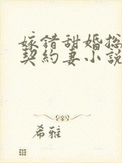 嫁错甜婚总裁的契约妻小说