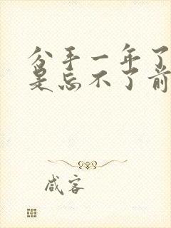 分手一年了,还是忘不了前任怎么办