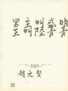 男主叫盛明羲女主叫陆青青的小说