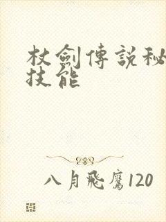 杖剑传说秘术师技能