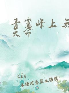 青鸾峰上 无敌天命