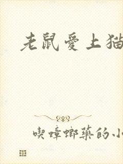 老鼠爱上猫下载