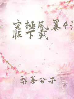 究极风暴4汉化版下载