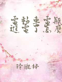 电动车电瓶充不进电了怎么办