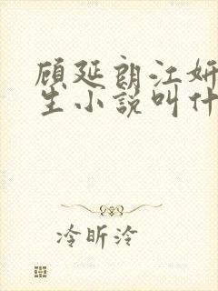 顾延朗江妍的重生小说叫什么