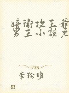 暗卫攻王爷受双男主小说免费阅读