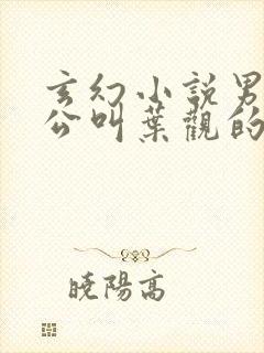 玄幻小说男主人公叫叶观的小说